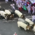 Mancow Running With The Bulls