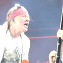 Axl and Angus working on an AC/DC album?