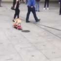 Skateboarding dog wheels into BBC